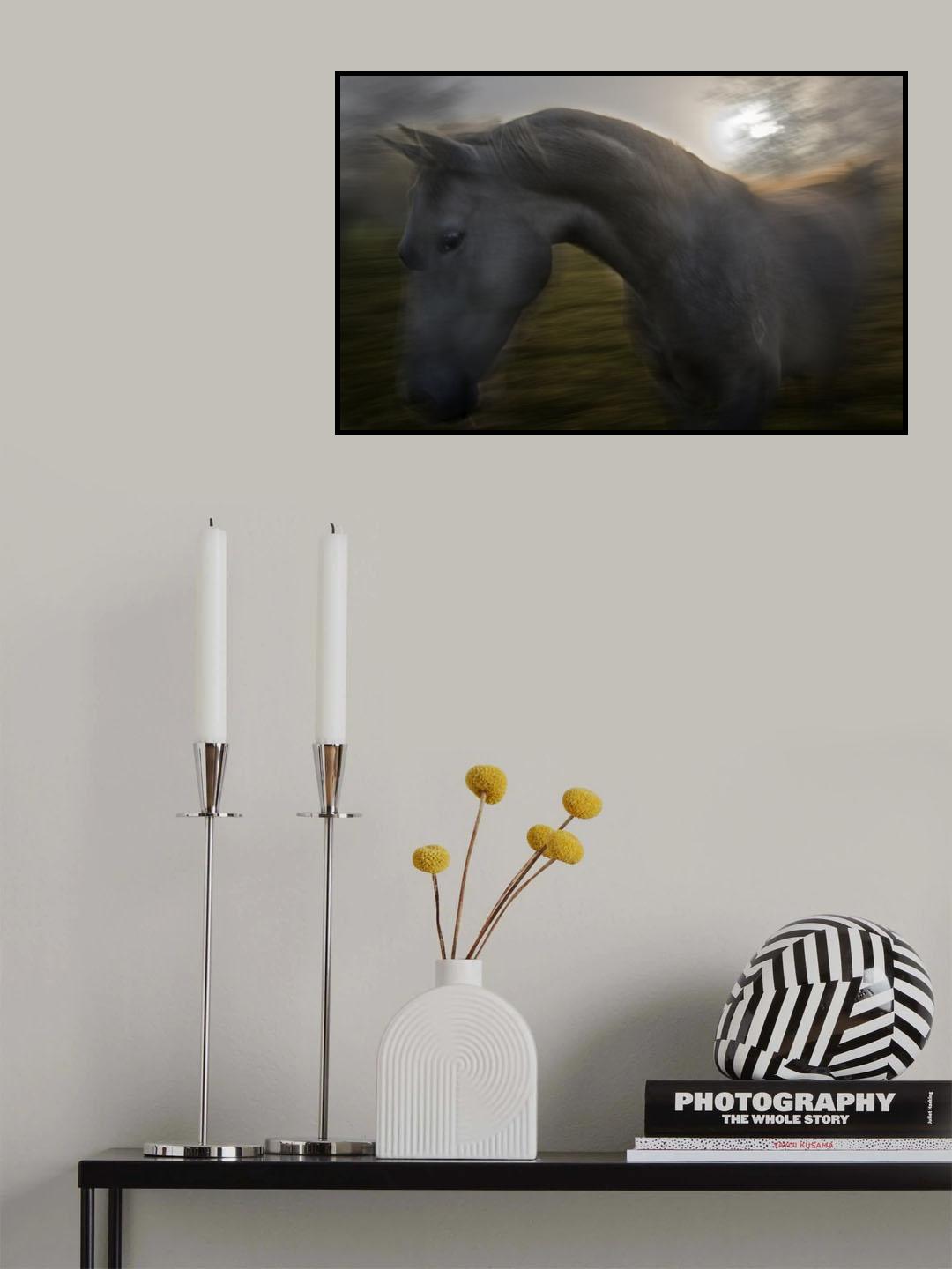 Yang Lipizian Poster och Canvastavla