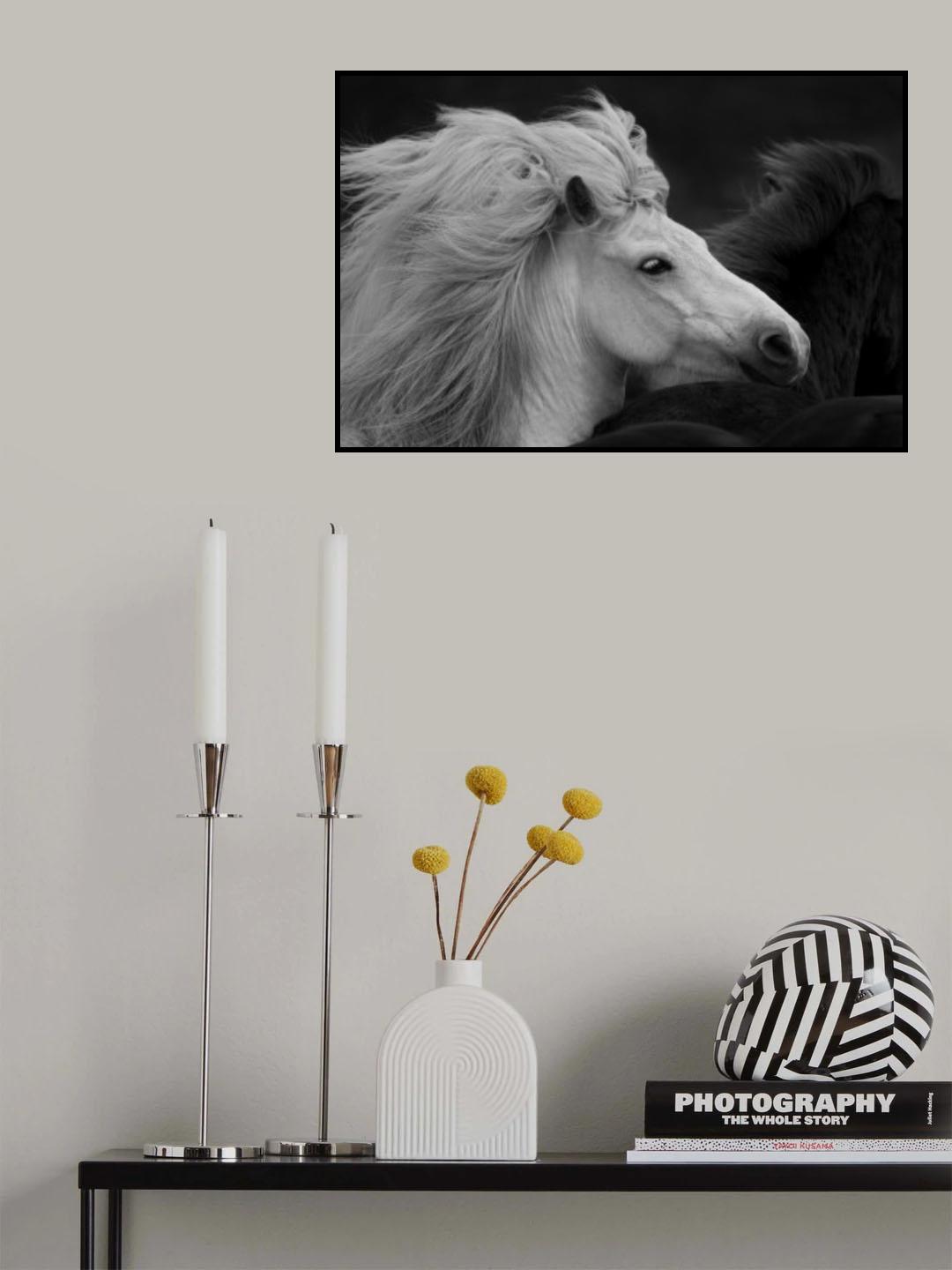 Bad Hair Day Poster och Canvastavla
