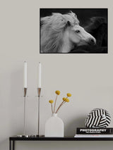 Bad Hair Day Poster och Canvastavla