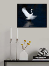 Dream Dancer Poster och Canvastavla