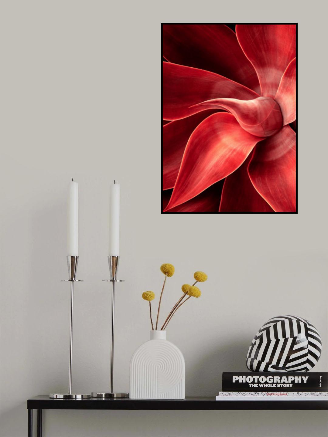 Shades of red Poster och Canvastavla