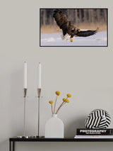 Fighting Poster och Canvastavla