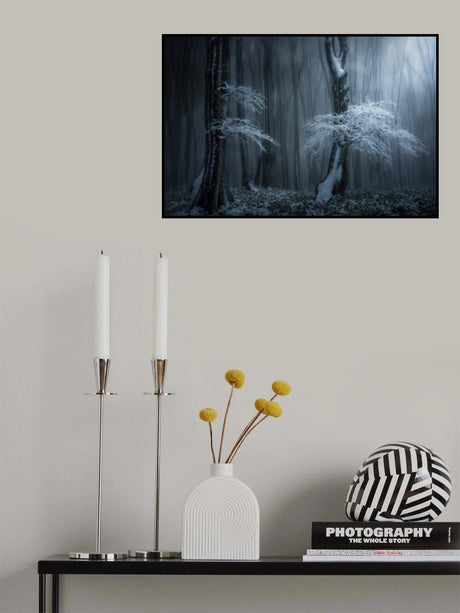 Jungle in the Balkan Mountains Poster och Canvastavla