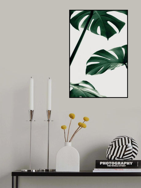 Monstera Natural 13 Poster och Canvastavla