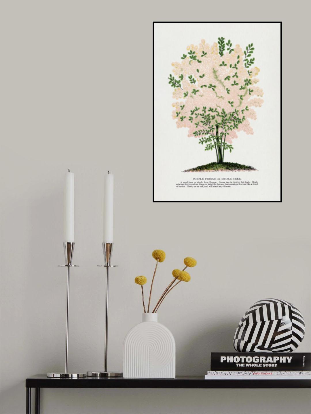 Purple Fringe Tree Lithograph Poster och Canvastavla