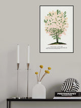 Purple Fringe Tree Lithograph Poster och Canvastavla