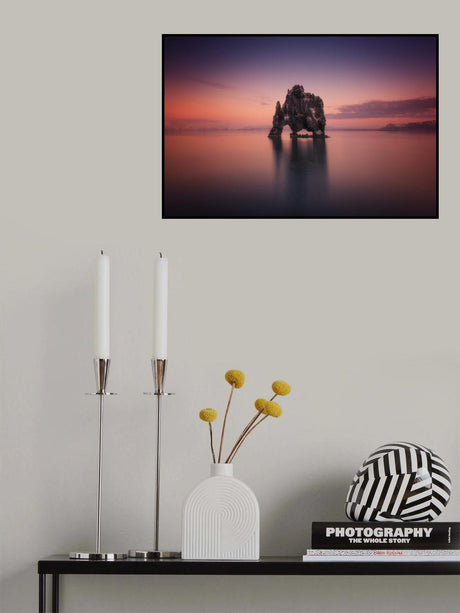 Rhino Poster och Canvastavla