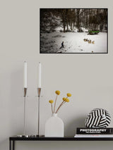 goose-shepherd Poster och Canvastavla