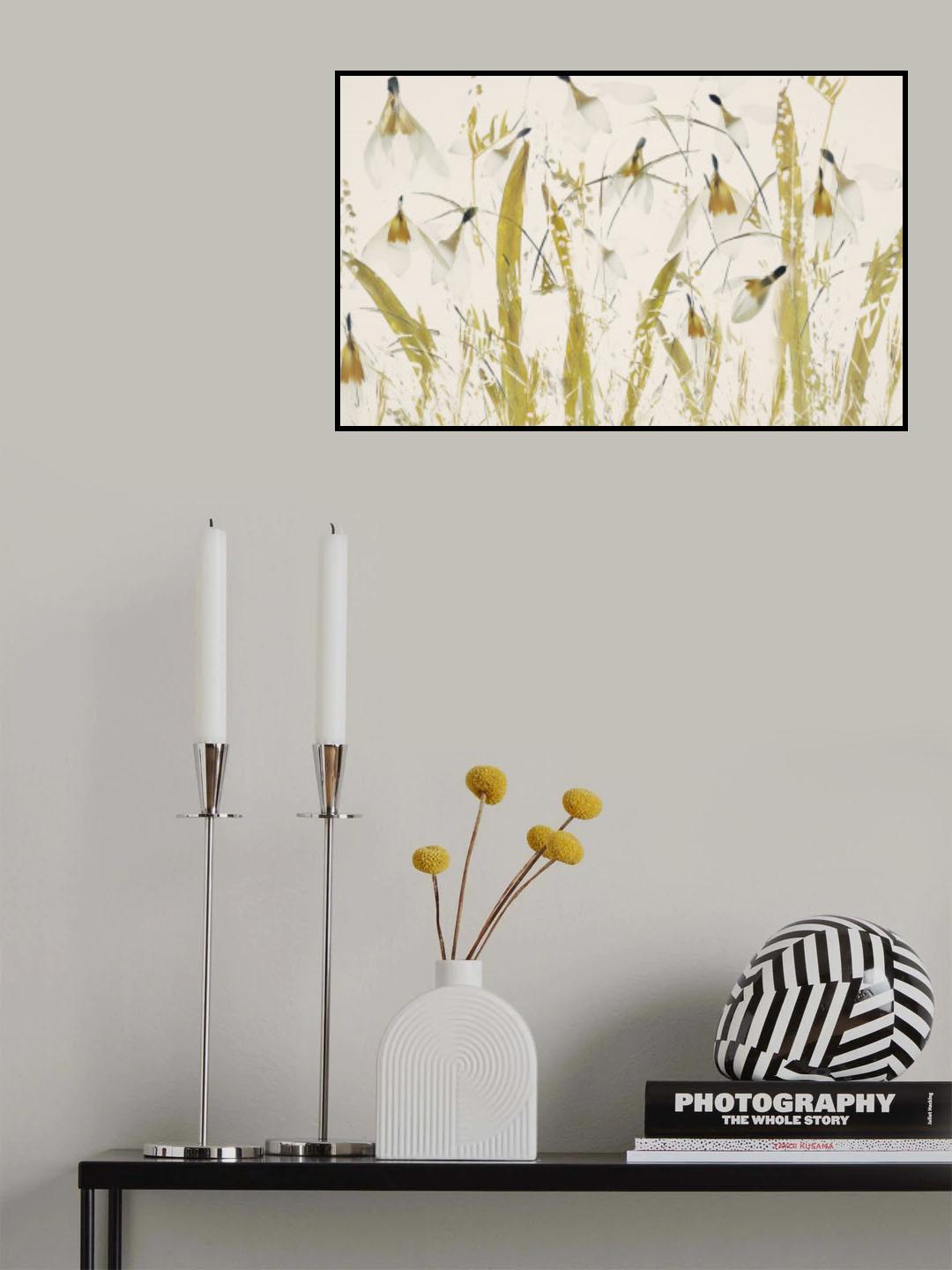 Snowdrops Poster och Canvastavla