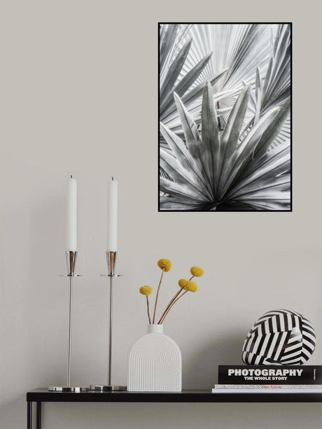 Silver Spray Poster och Canvastavla