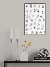 Stargazing Poster och Canvastavla