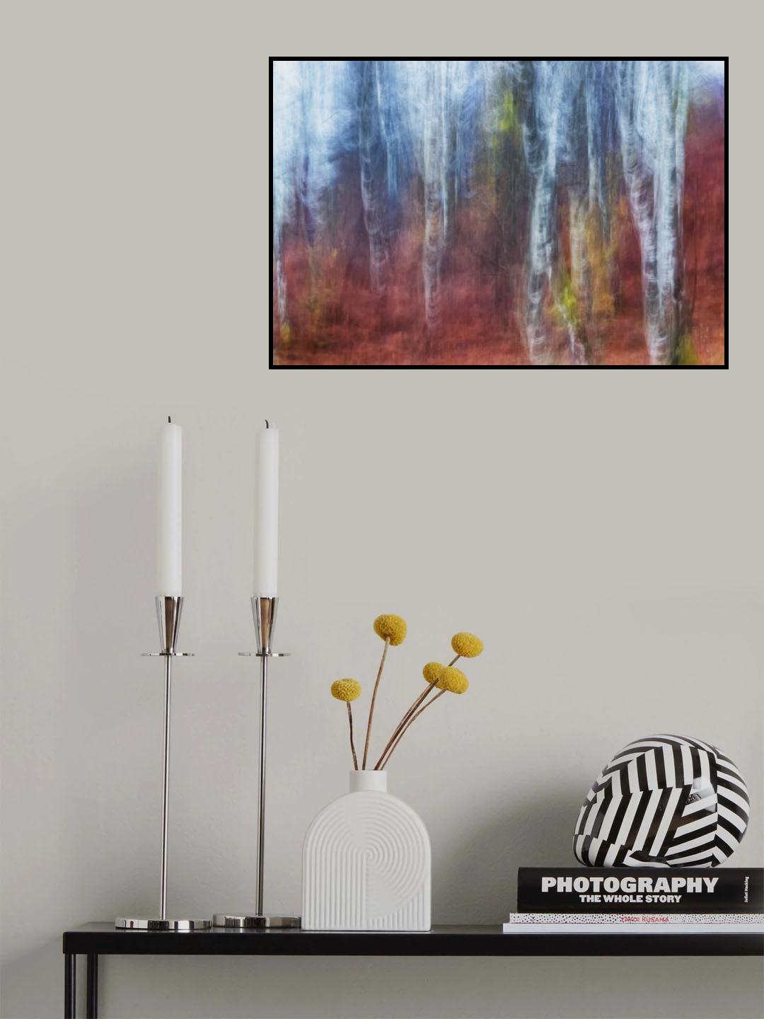 Birch trees Poster och Canvastavla