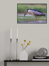 Eye to Eye Poster och Canvastavla