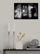 venus Poster och Canvastavla
