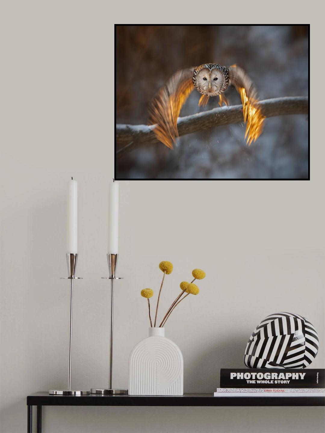 Coming to me! Poster och Canvastavla