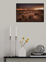 Hatchery line Poster och Canvastavla