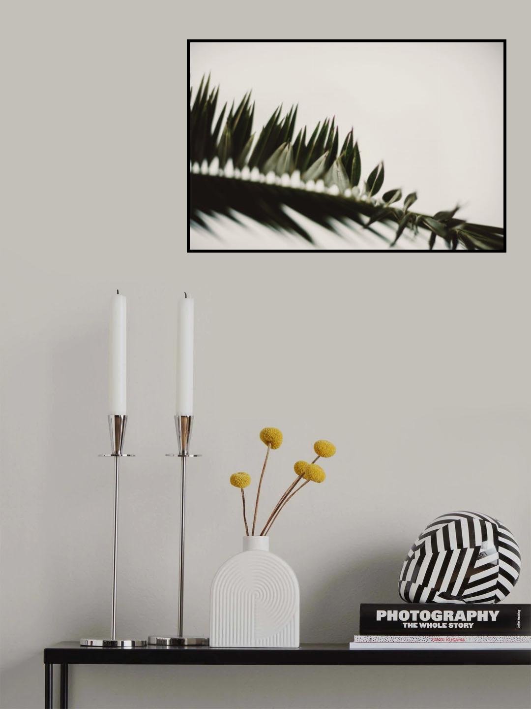 Palm Branches Poster och Canvastavla