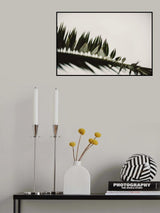 Palm Branches Poster och Canvastavla