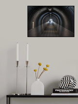 Ω：omega Poster och Canvastavla