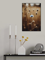 Blue Corn Flowers No 4 Poster och Canvastavla