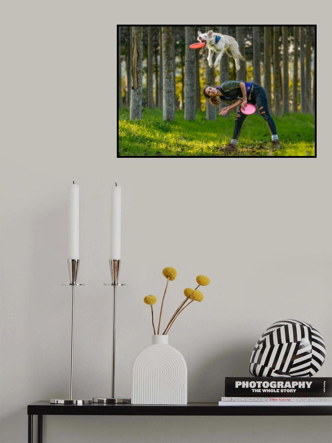 Dog and Frisbee Poster och Canvastavla