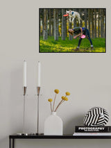 Dog and Frisbee Poster och Canvastavla