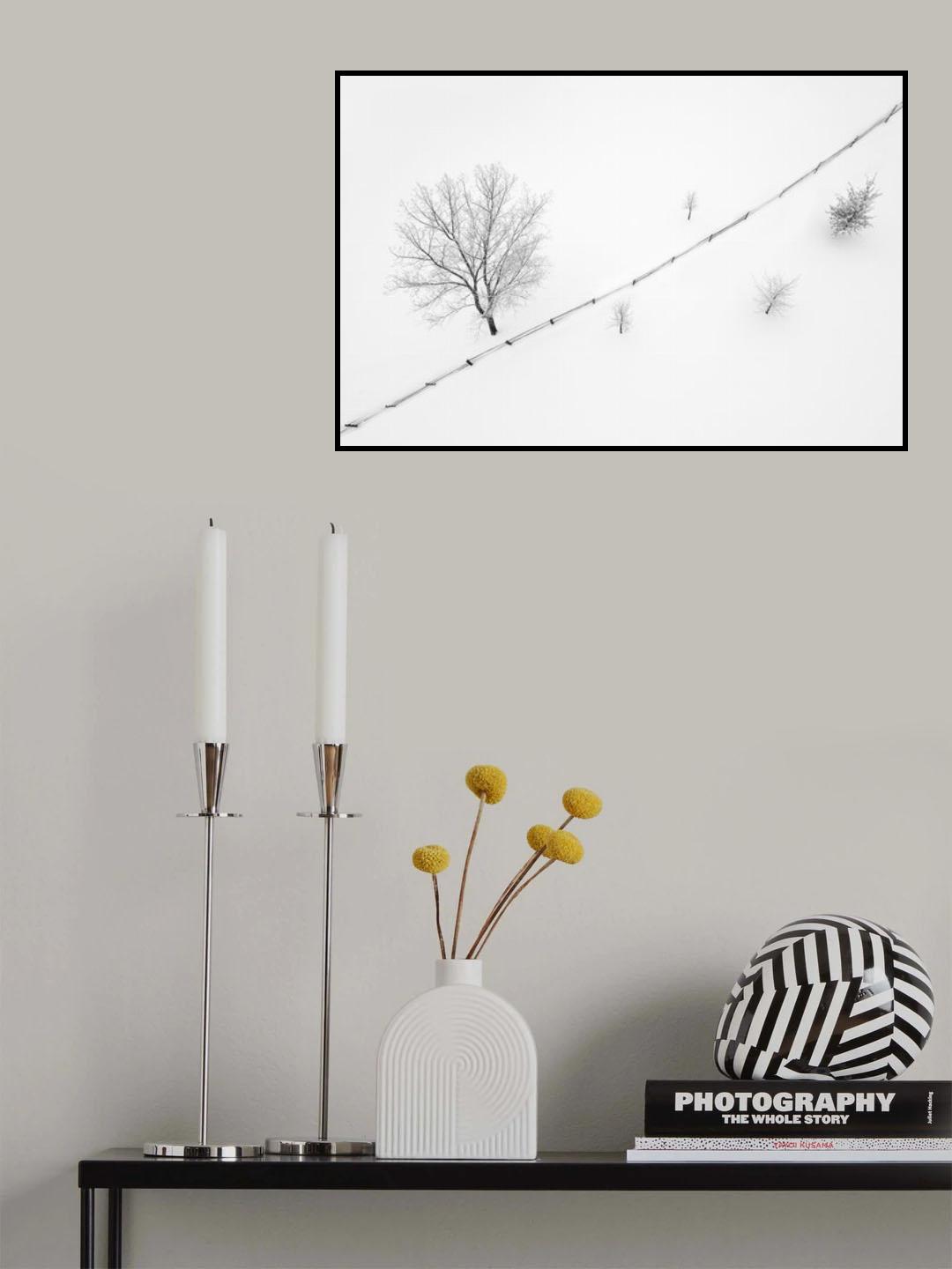 2/3 Poster och Canvastavla
