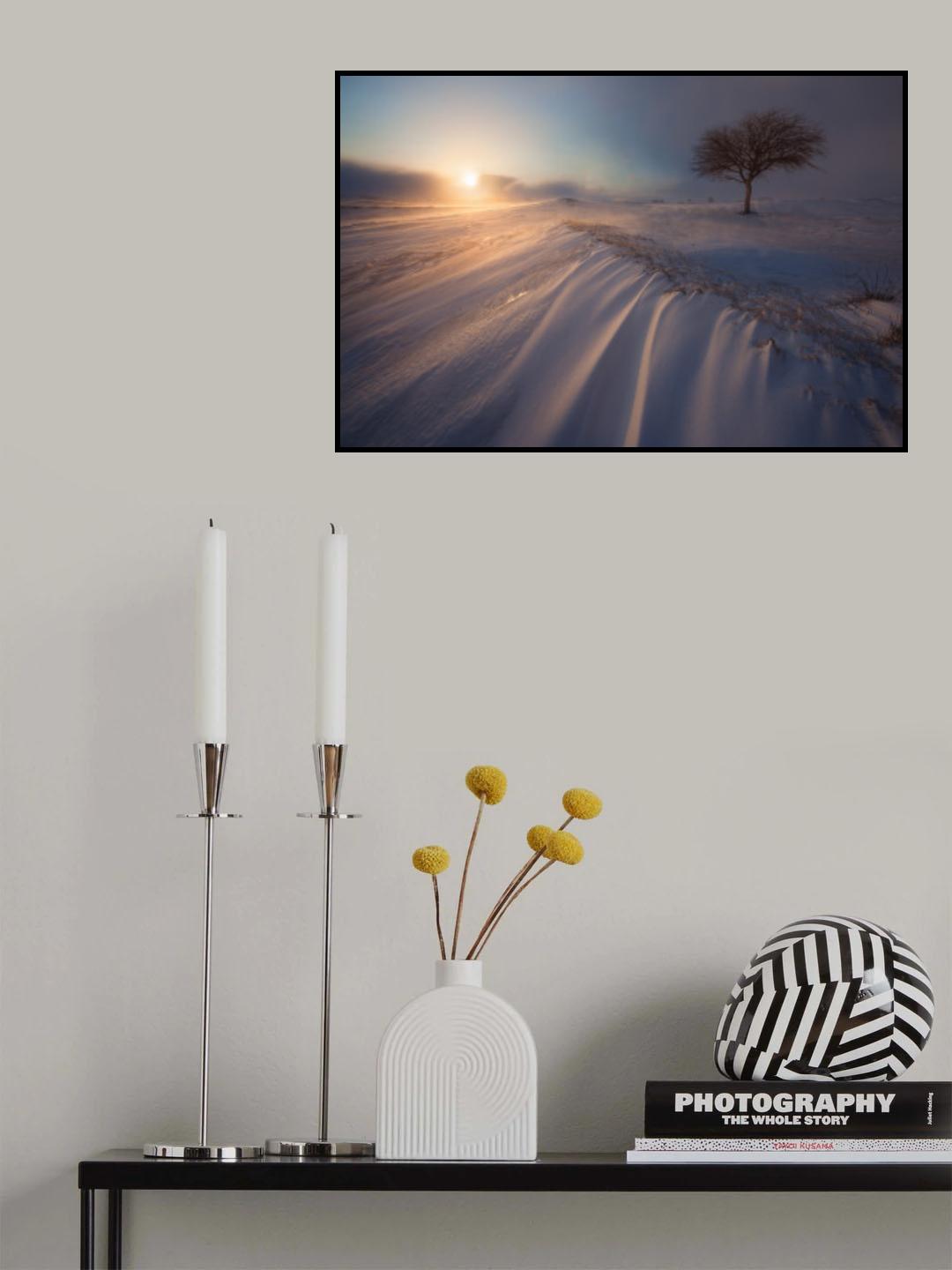 traces of the wind Poster och Canvastavla