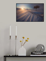 traces of the wind Poster och Canvastavla