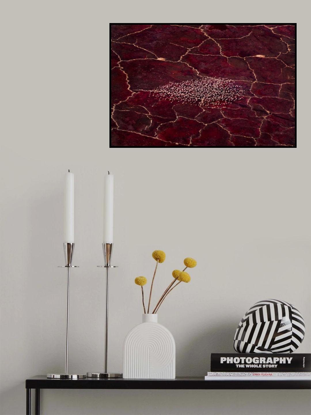 Red Planet Poster och Canvastavla