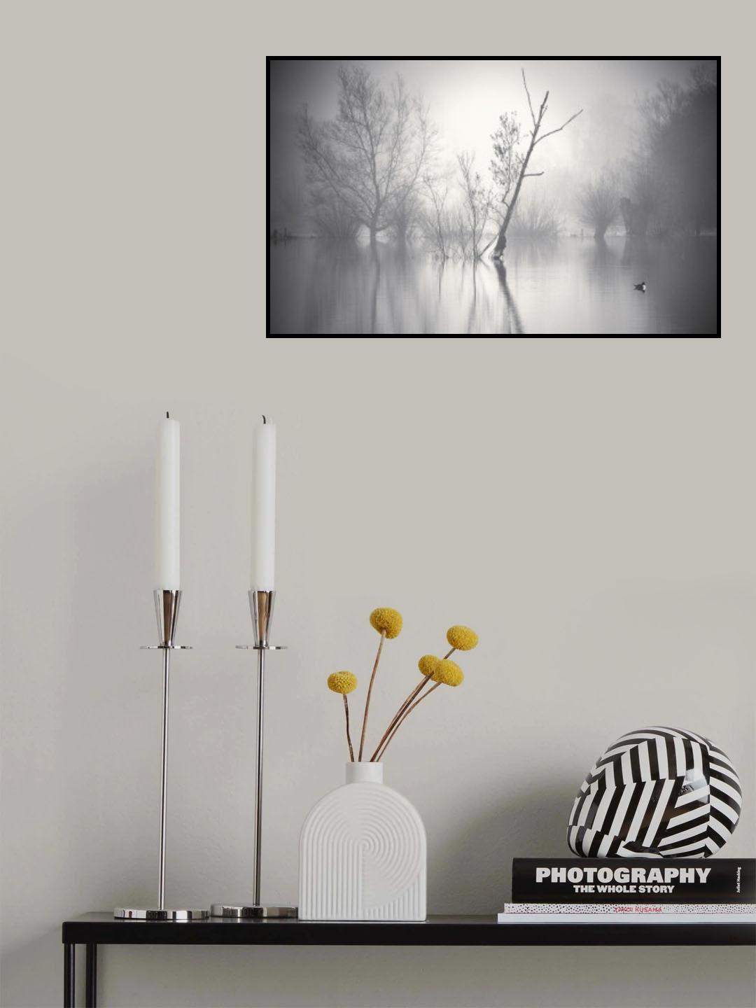 The Lone Pintail. Poster och Canvastavla