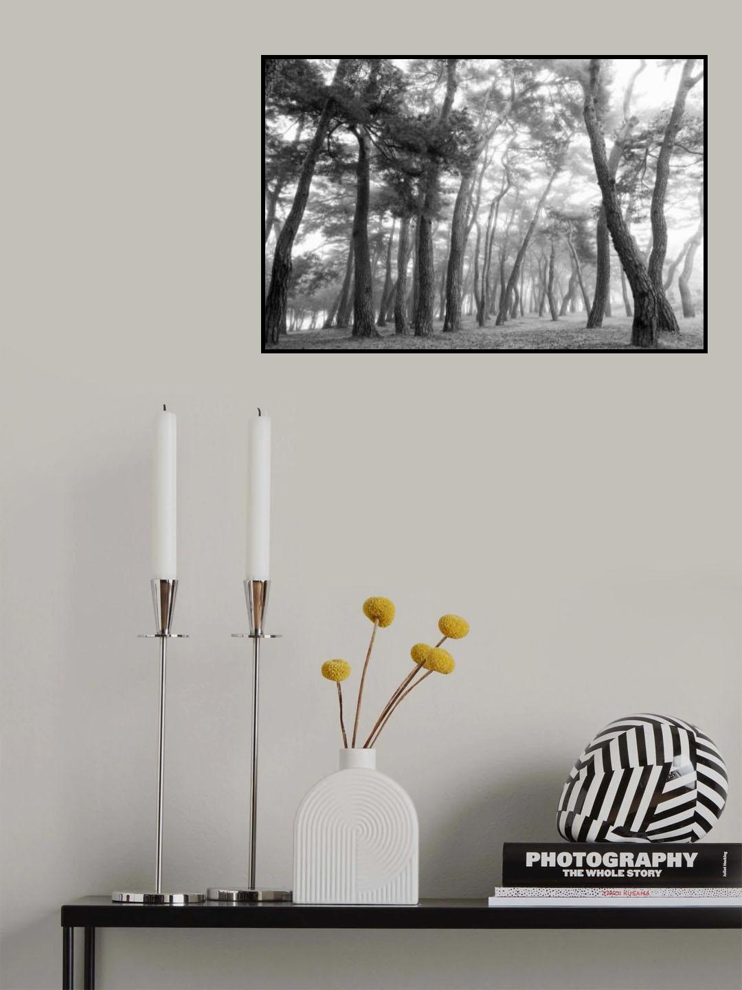 Curves of lives Poster och Canvastavla