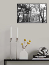 Curves of lives Poster och Canvastavla