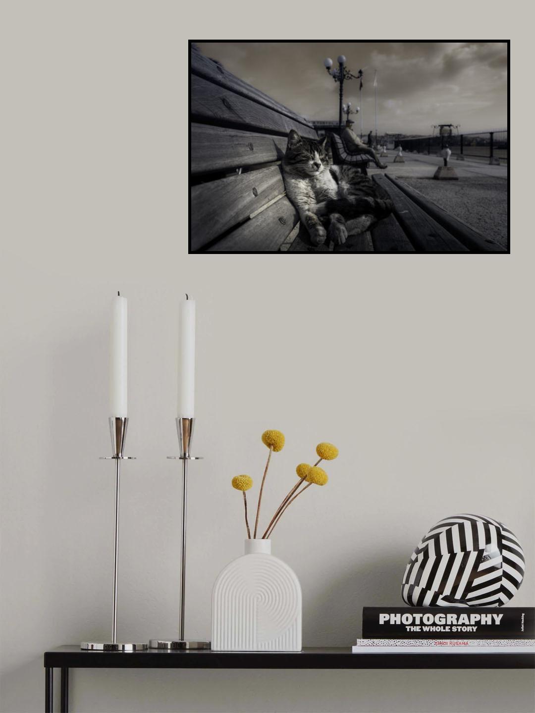 sluggard Poster och Canvastavla
