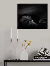 n/t Poster och Canvastavla