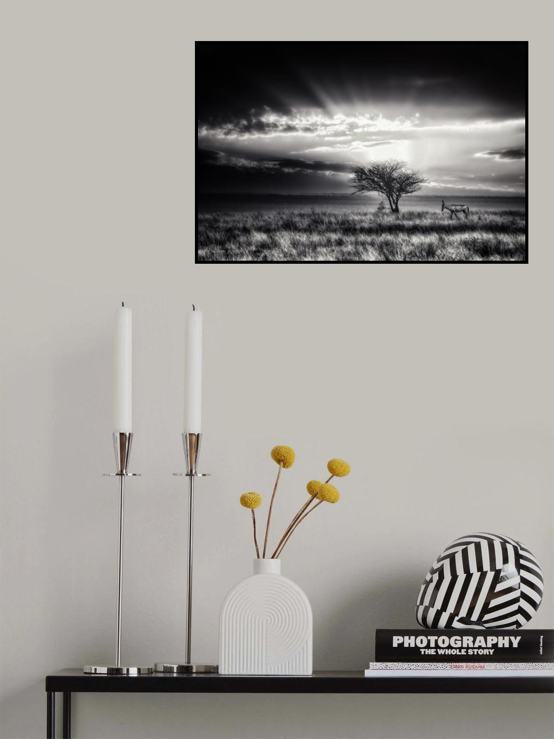 sunrise with hartebeest Poster och Canvastavla
