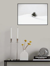 white winter Poster och Canvastavla