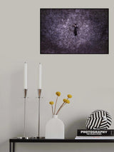 Sakura night Poster och Canvastavla