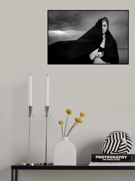 Modesty Challenged Poster och Canvastavla