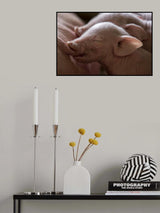 Lunch Poster och Canvastavla