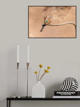 In to the air Poster och Canvastavla