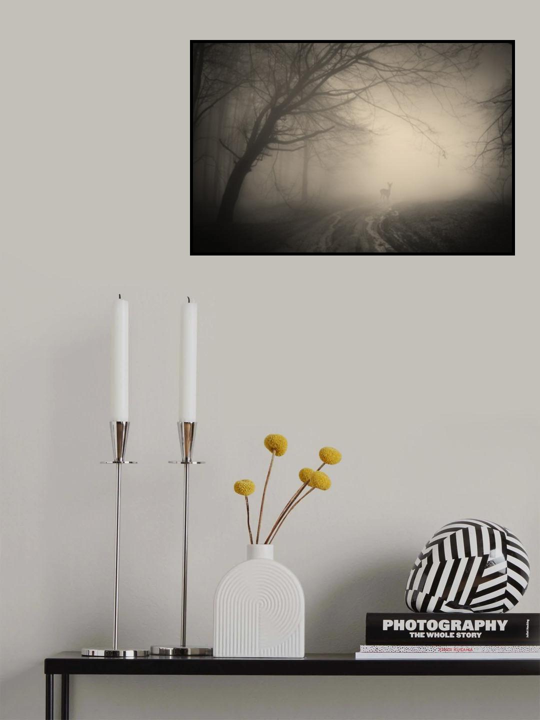 Morning in the Forest Poster och Canvastavla