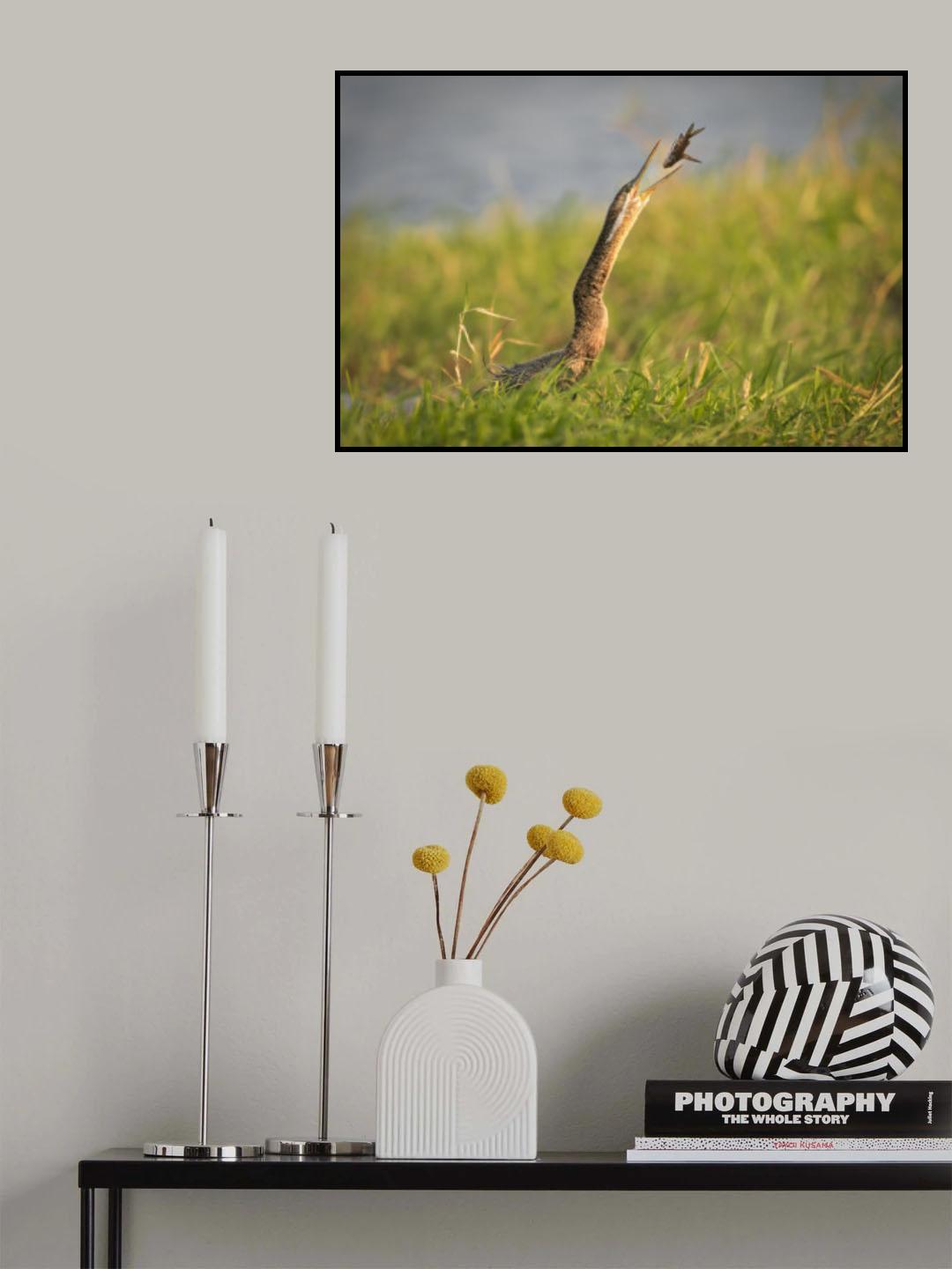 Toss Poster och Canvastavla