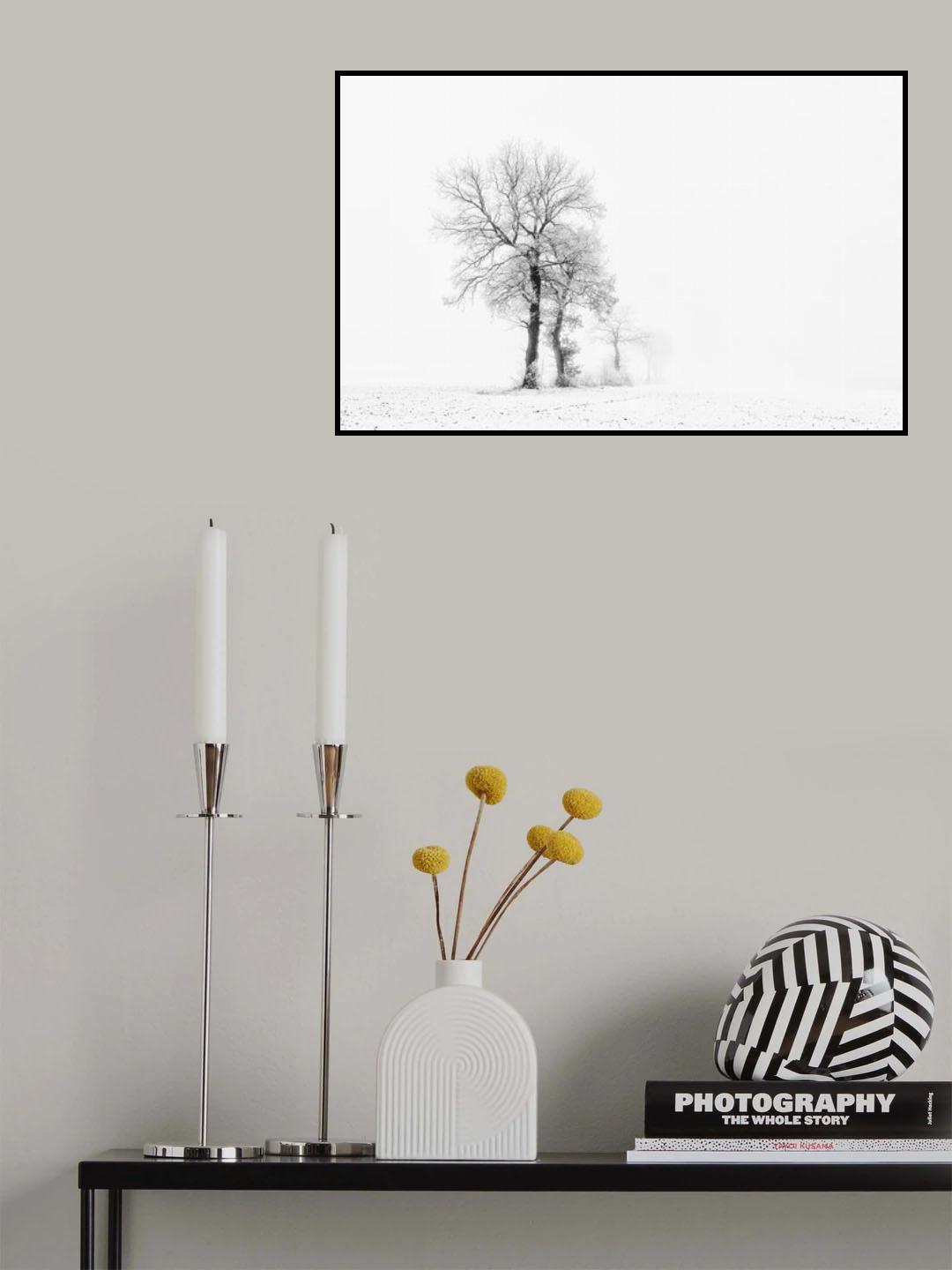 Small world Poster och Canvastavla