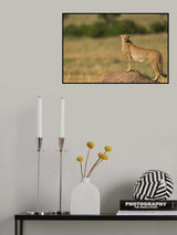 Beauty on Hill Poster och Canvastavla