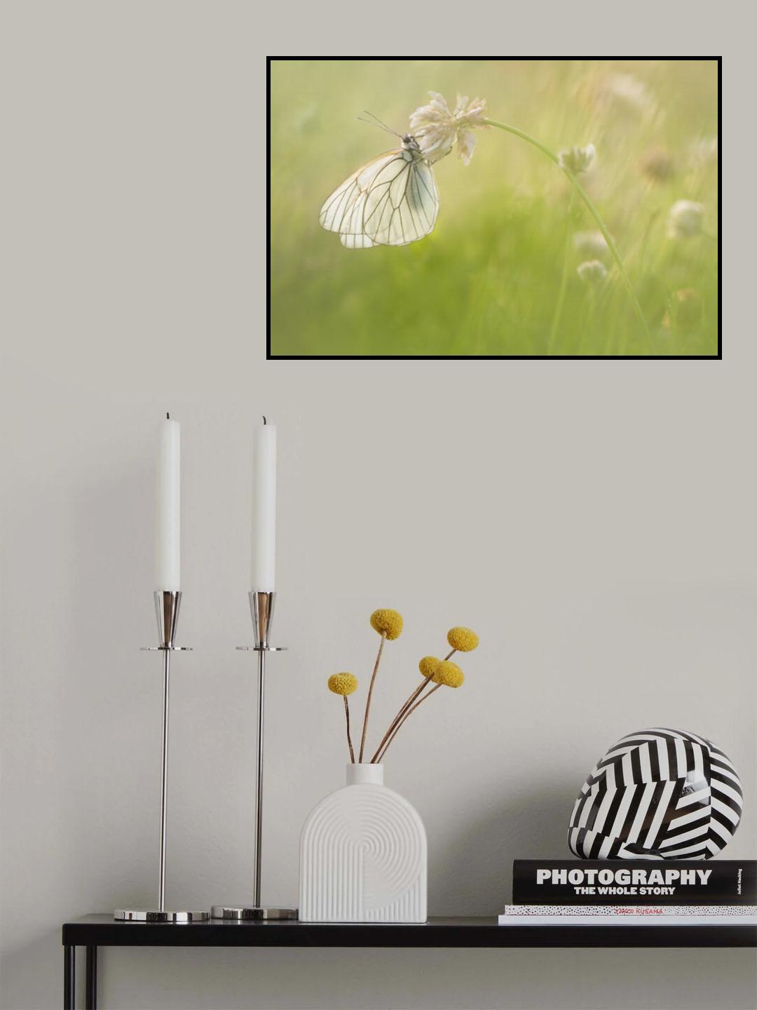 White world Poster och Canvastavla