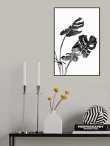 Monstera Black and White 02 Poster och Canvastavla