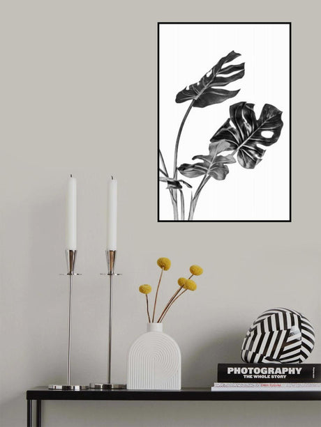 Monstera Black and White 02 Poster och Canvastavla