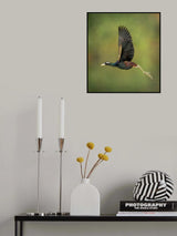 Poster och Canvastavla