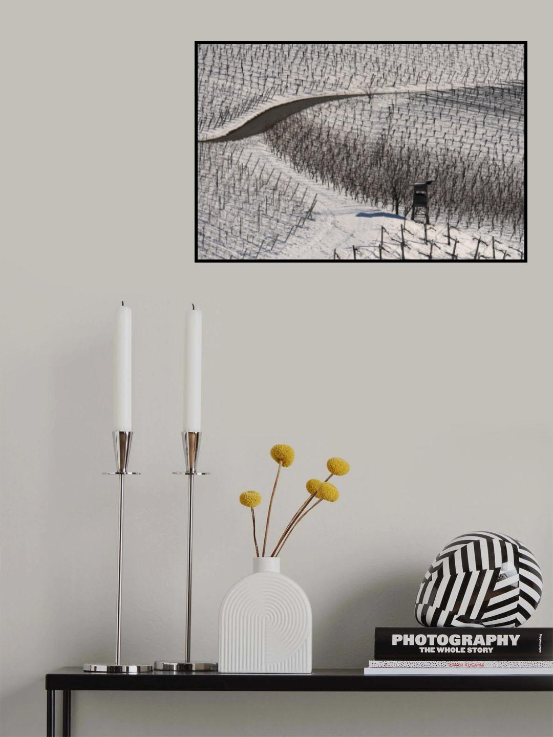 Winter vineyards Poster och Canvastavla